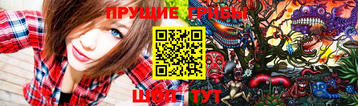 Еманжелинск  Псилоцибиновые грибы Psilocybine cubensis  Вход с VPN 